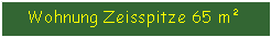 Textfeld: Wohnung Zeisspitze 65 m�